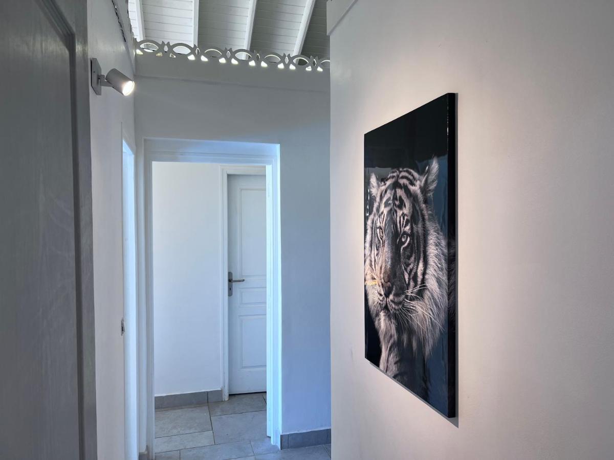 Villa Taiana Quarter of Orleans 外观 照片