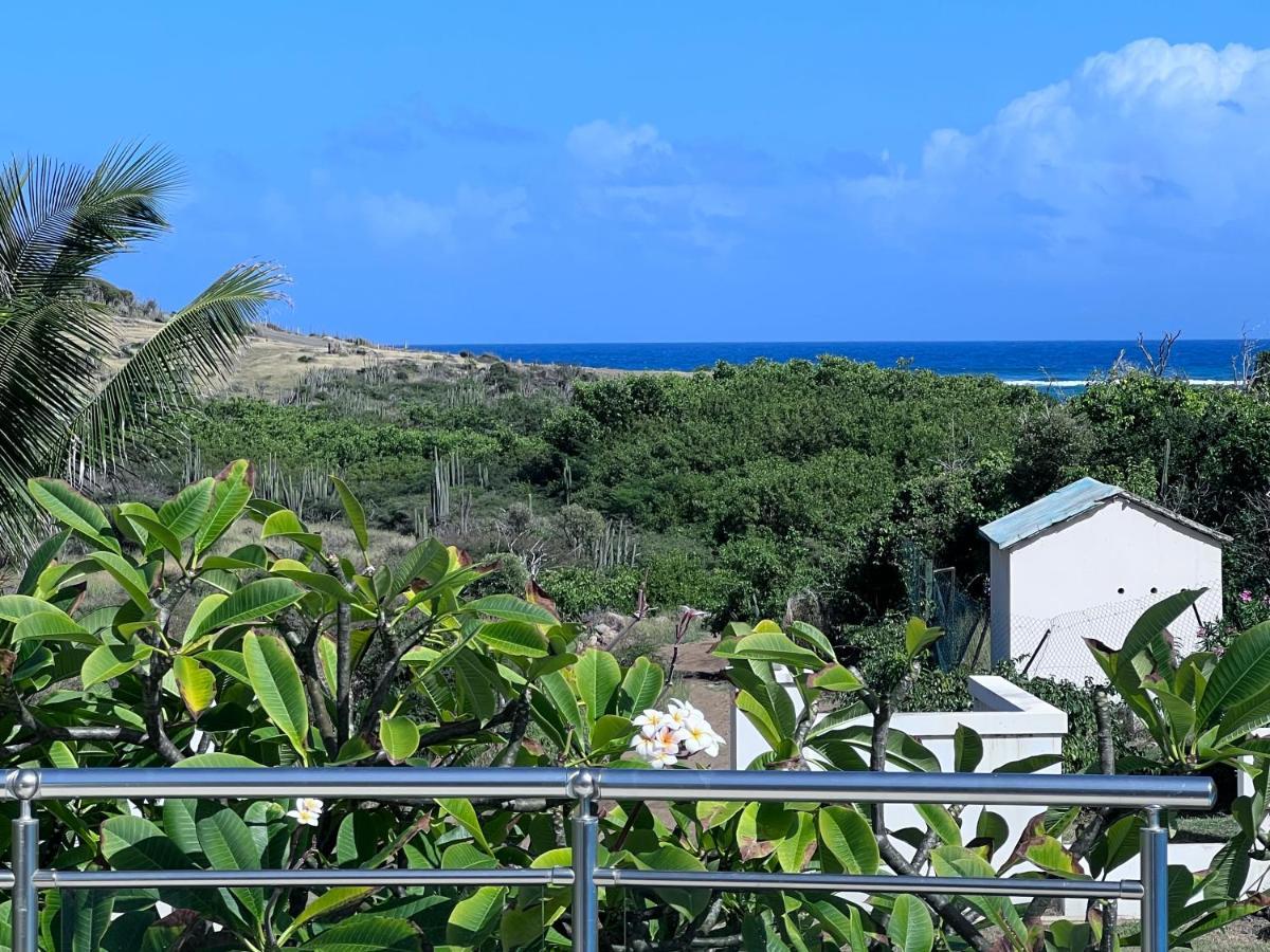 Villa Taiana Quarter of Orleans 外观 照片